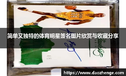简单又独特的体育明星签名图片欣赏与收藏分享
