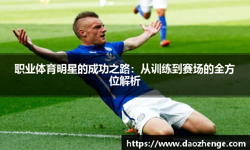 职业体育明星的成功之路：从训练到赛场的全方位解析